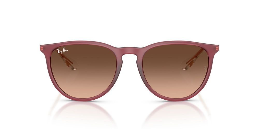 Ray-Ban Erika RB4171